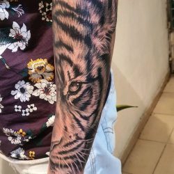 107517342_578703996080411_6943548417690787296_n