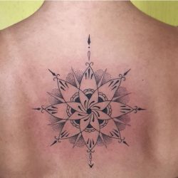 121151977_376573433522786_5232114611917605337_n