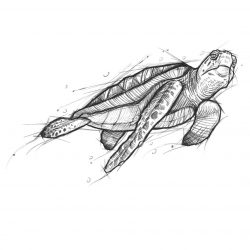 35987079_658089937891997_6296093181700210688_n