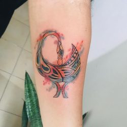 46438169_265283747676613_1611810244122899742_n